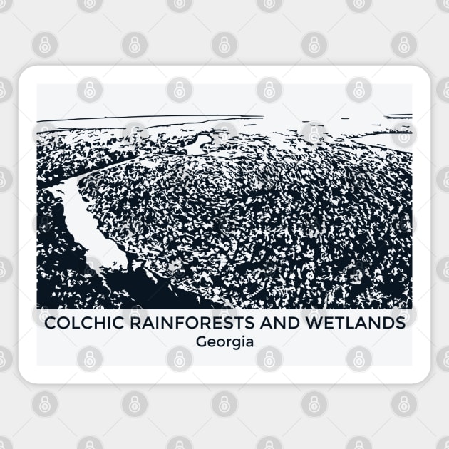 Colchic Rainforests and Wetlands - Georgia Magnet by Lakeric